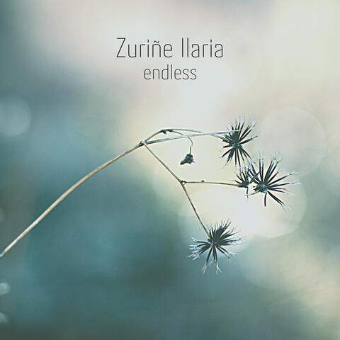 Endless