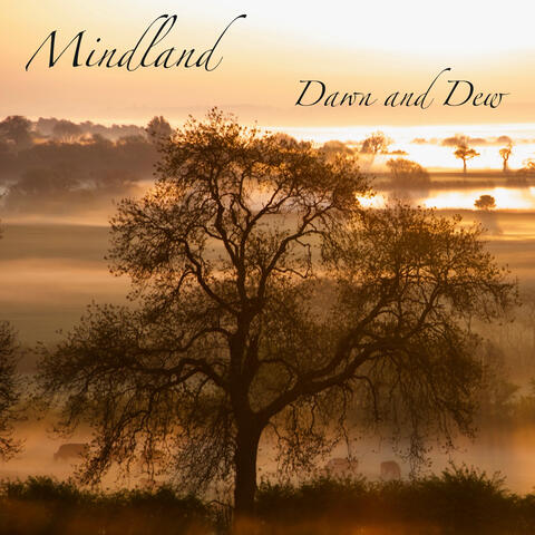 Dawn and Dew