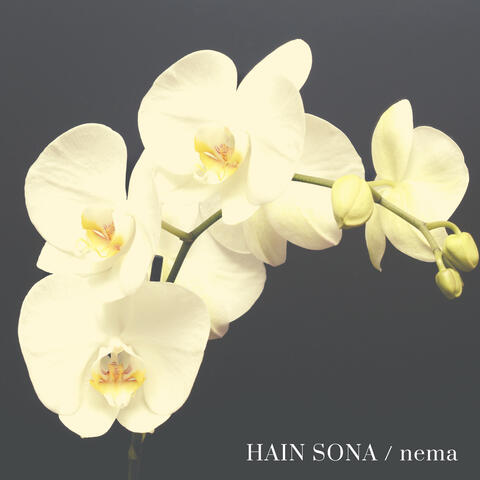 Nema