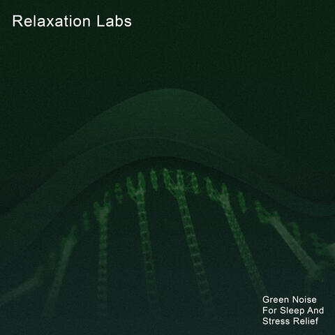Relaxation Labs