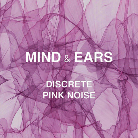 Discrete Pink Noise