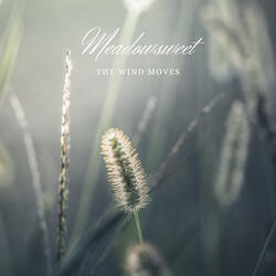 The Wind Moves