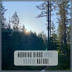 Morning Birds April