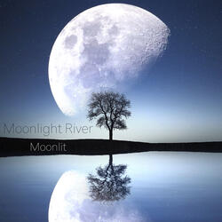 Moonlit