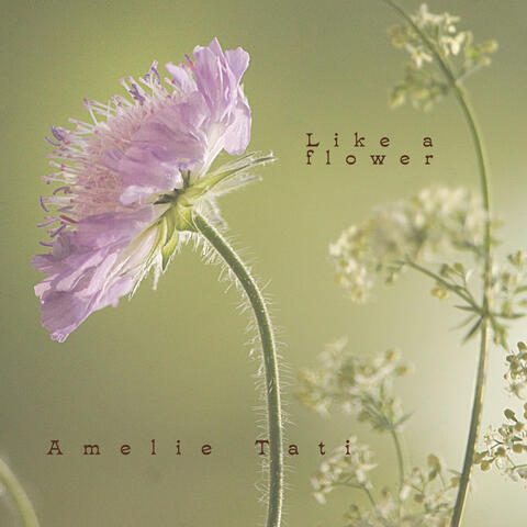 Like a flower