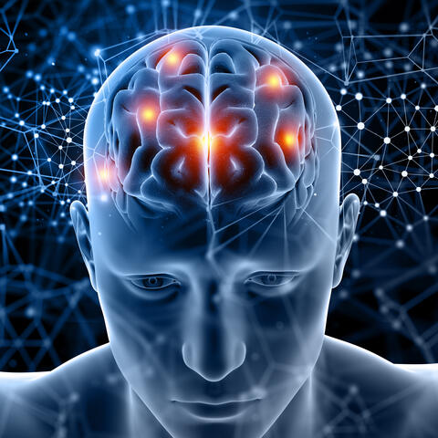 Improve Your Memory