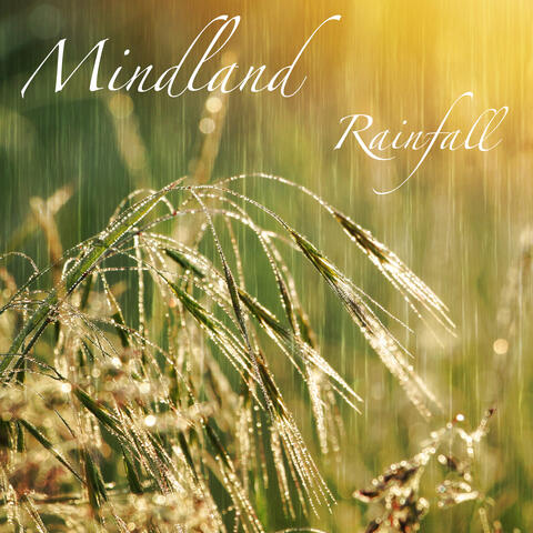 Rainfall