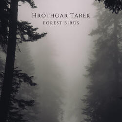 Forest Birds (432 Hz)