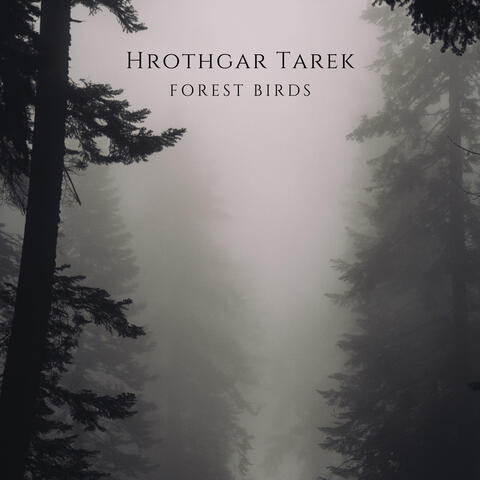 Forest Birds (432 Hz)
