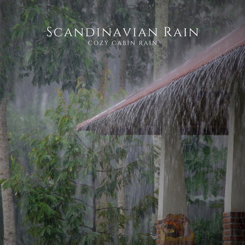 Cozy Cabin Rain