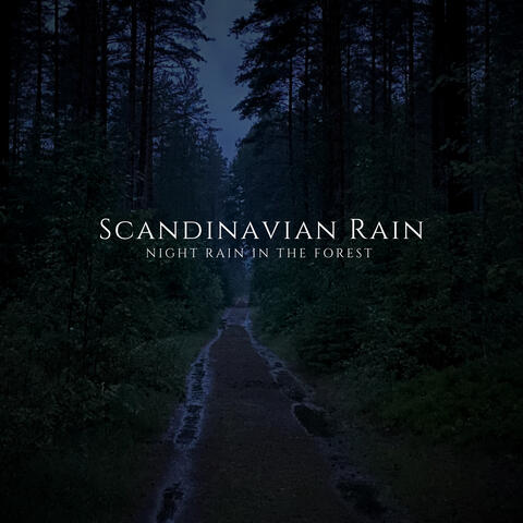 Night Rain In The Forest
