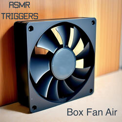 Box Fan Air