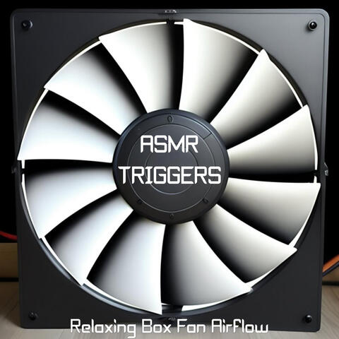 Relaxing Box Fan Airflow