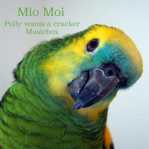 Polly wants a cracker-Musicbox