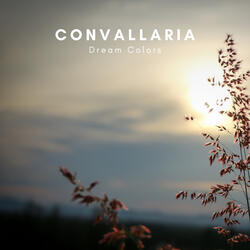 Dream Colors
