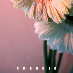 Freebie