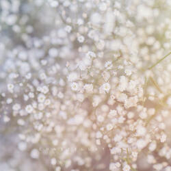 Constellations