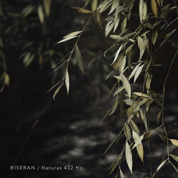 Naturas 432 Hz