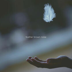 Feather Brown Noise