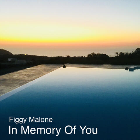 In Memory of You