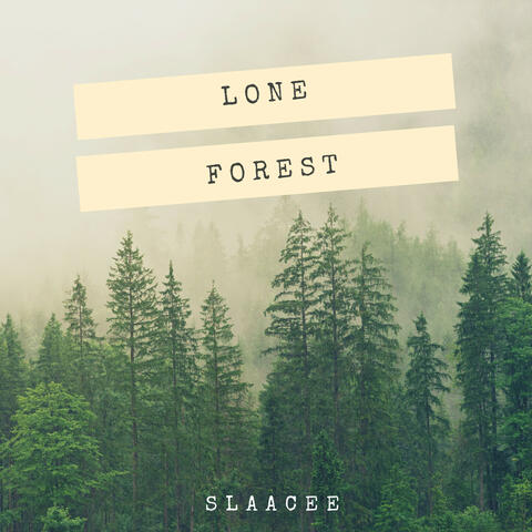 Lone Forest