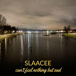 can't feel nothing but sad