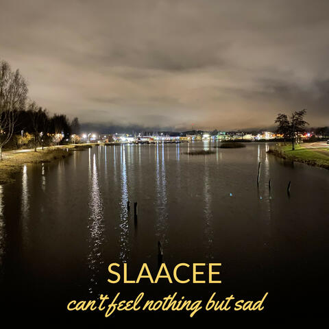 can't feel nothing but sad