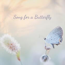 Song for a Butterfly