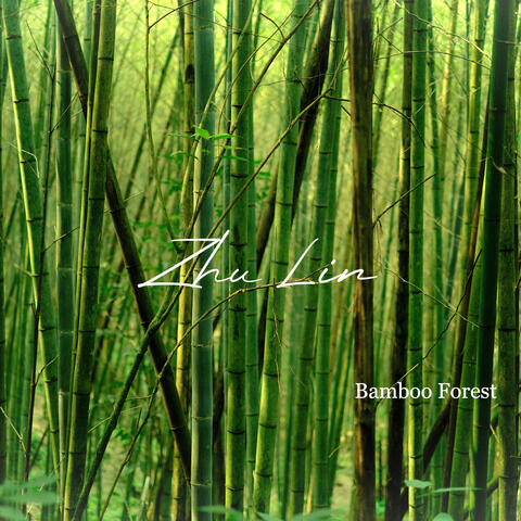 Bamboo Forest