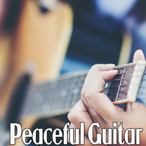 The Spanish Collection