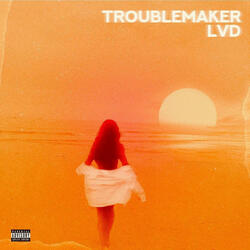 Troublemaker