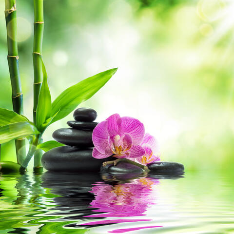 Healing Tibetan Melody