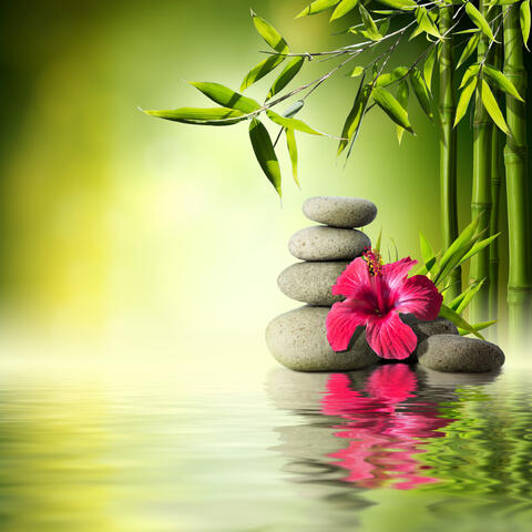 60 Minutes Chakra Healing