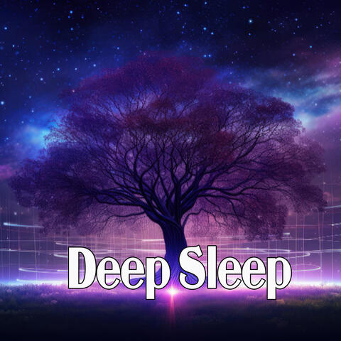Deep Your Sleep To Start Summer Morning