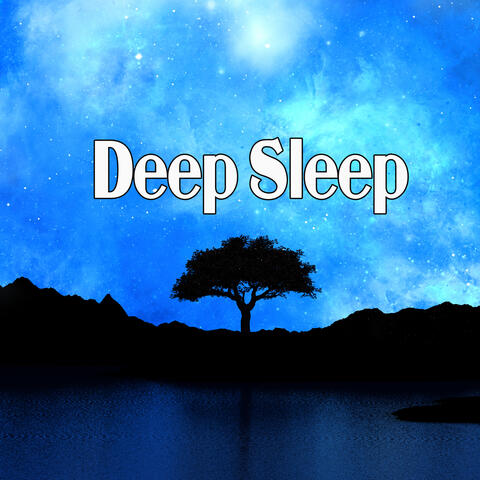 Into Deep Sleep With Rainy Afternoon