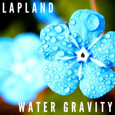 Water Gravity