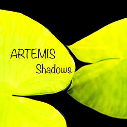 Shadows