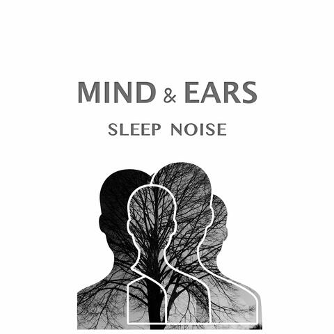 Sleep Noise