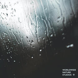 Morning Rain