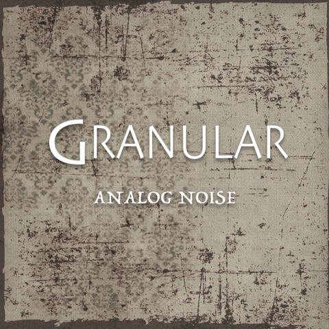 Analog Noise