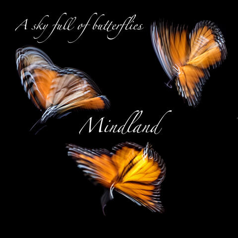 A Sky Full of Butterflies