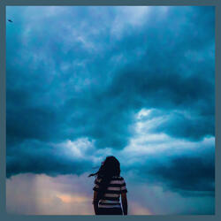 Storm From The North