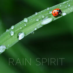 Soul Warming Rain