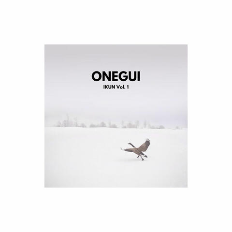 Ikun Vol. 1