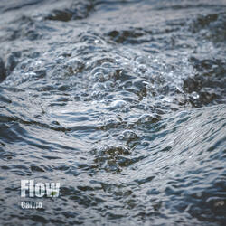 Flow