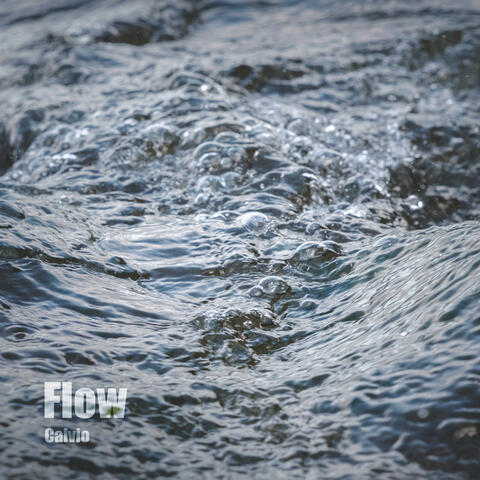 Flow