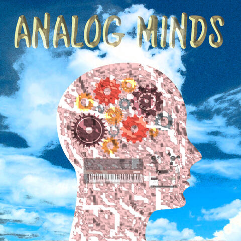 Analog Minds