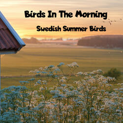 June 2nd Morning Birds