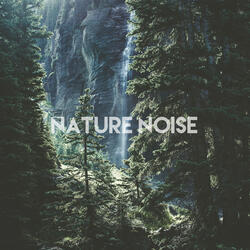 Noise Stream