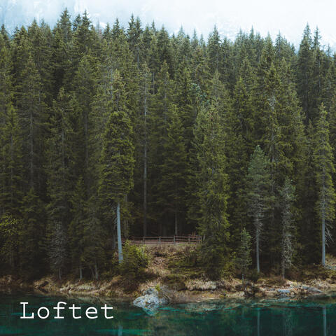 Loftet